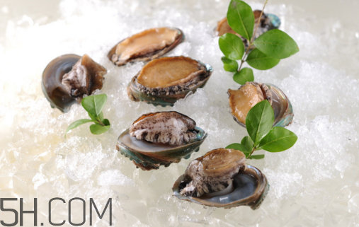 鮑魚怎么做好吃？吃鮑魚注意事項