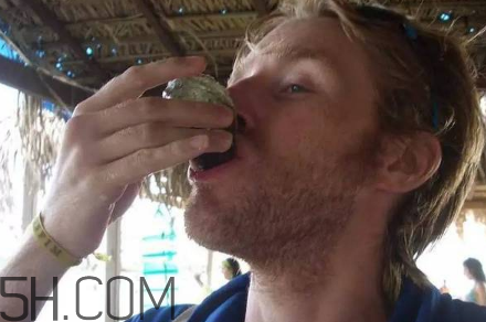 生蠔有哪些食用禁忌？如何像行家一樣吃生蠔？