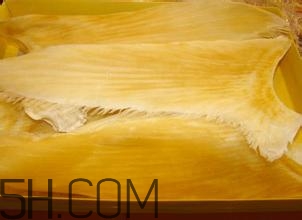 魚翅怎么發(fā)？孕婦可以吃魚翅嗎？