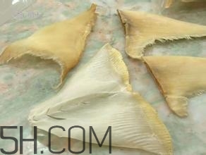 真假魚(yú)翅怎么辨別？魚(yú)翅的營(yíng)養(yǎng)價(jià)值