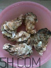 吃生蠔應該注意哪些事項？生蠔與牡蠣的區(qū)別
