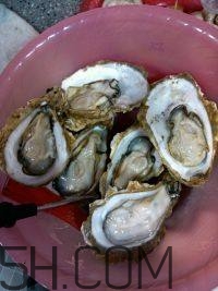 吃生蠔應該注意哪些事項？生蠔與牡蠣的區(qū)別