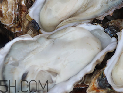 生蠔是什么？吃生蠔的注意事項