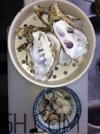 蒜蓉烤生蠔的做法 孕婦可以吃烤生蠔嗎 蒜蓉烤生蠔的做法 孕婦可以吃烤生蠔嗎