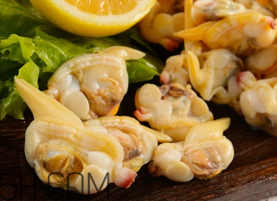 花甲可以冷凍嗎？養(yǎng)花甲鹽和水的比例是多少？