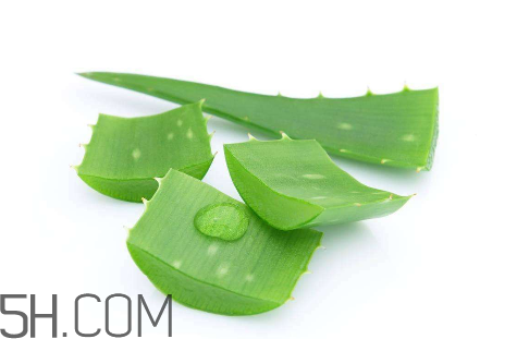 雅麗潔蘆薈膠怎么用？雅麗潔蘆薈膠使用方法