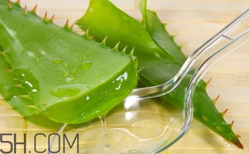 雅麗潔蘆薈膠和完美蘆薈膠哪個好？