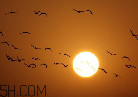 2018年天氣什么時(shí)候回暖 2018年什么時(shí)候升溫 2018年天氣什么時(shí)候回暖 2018年什么時(shí)候升溫