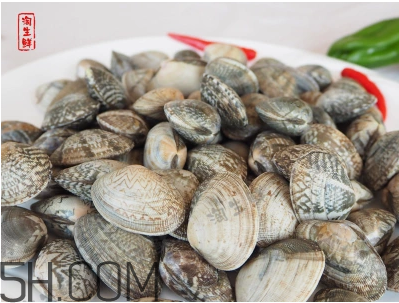 花甲可以冷凍嗎？養(yǎng)花甲鹽和水的比例是多少？