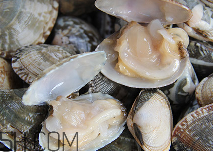 花甲可以冷凍嗎？養(yǎng)花甲鹽和水的比例是多少？