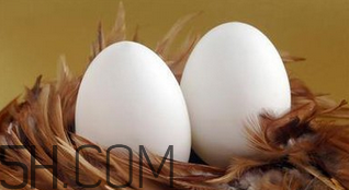 生蠔和雞蛋可以一起吃嗎？生蠔不熟可以吃嗎？