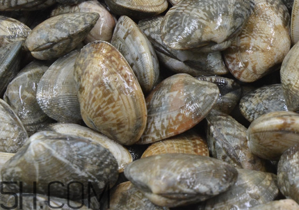 花甲可以冷凍嗎？養(yǎng)花甲鹽和水的比例是多少？