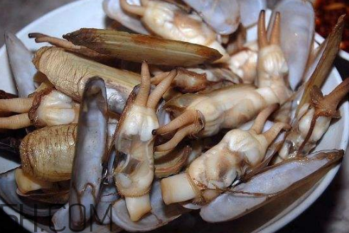 蟶子里面的黑色能吃嗎？蟶子為什么一撒鹽就出來？