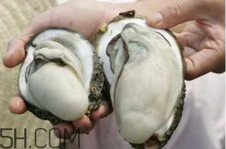 烤生蠔有寄生蟲嗎？臺山生蠔的正確吃法