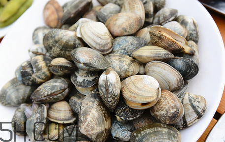 花蛤怎么清洗才干凈？寶寶可以吃花甲嗎？