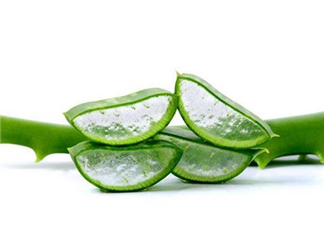 自然樂(lè)園蘆薈膠成分 自然樂(lè)園蘆薈膠保質(zhì)期