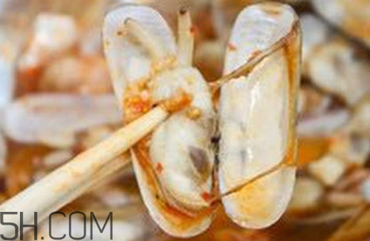 蟶子可以養(yǎng)多久？孕婦吃蟶子注意事項(xiàng)