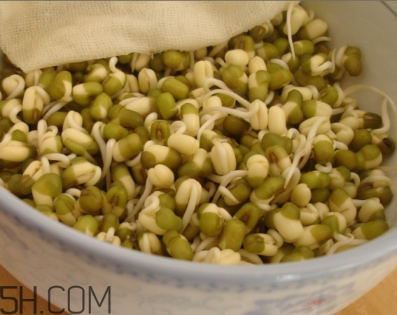 如何健康的喝豆?jié){？喝豆?jié){有什么注意事項(xiàng)嗎？