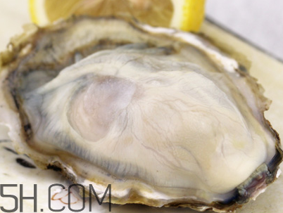 生蠔和芒果可以一起吃嗎？孕婦可以吃生蠔嗎？