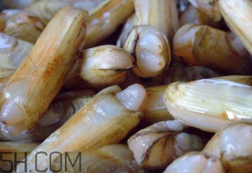 蟶子里面的黑色能吃嗎？蟶子為什么一撒鹽就出來？