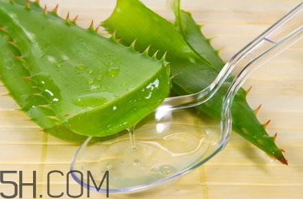 自然樂園蘆薈膠孕婦可以用嗎？自然樂園蘆薈膠使用心得