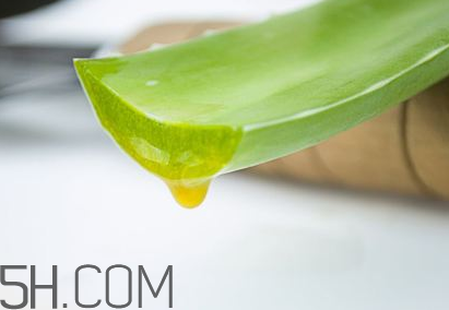 自然樂園蘆薈膠孕婦可以用嗎？自然樂園蘆薈膠使用心得