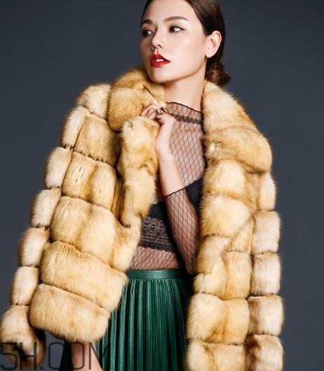 裘皮大衣是什么動(dòng)物皮？裘皮大衣怎么保養(yǎng)？