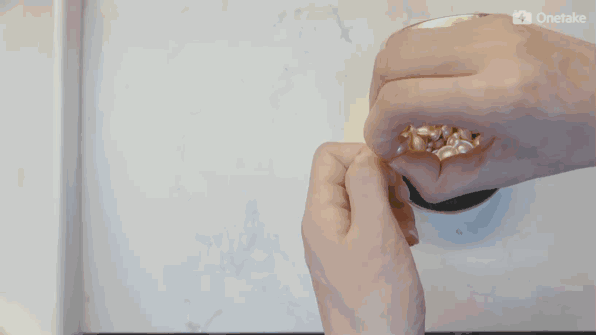 雅頓金膠怎么打開？雅頓金膠膠囊怎么扭開？