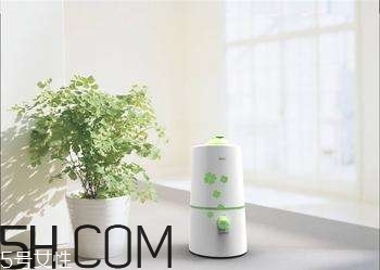 加濕器的使用誤區(qū)有哪些？加濕器的功能介紹