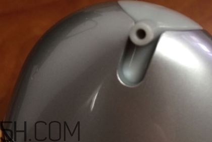 雅頓小銀蛋是什么？雅頓小銀蛋多少錢？