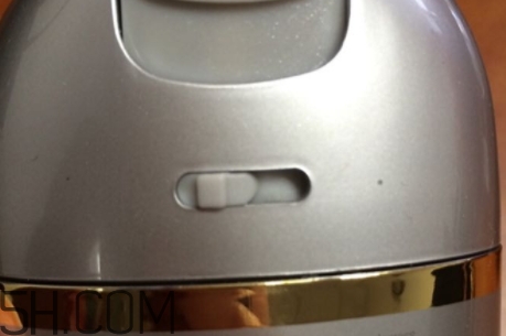 雅頓小銀蛋是什么？雅頓小銀蛋多少錢？