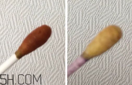 雅頓小銀蛋是什么？雅頓小銀蛋多少錢？