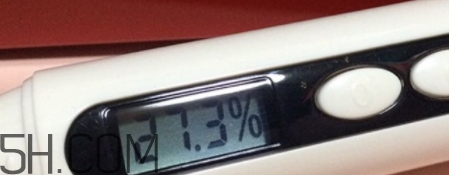 雅頓小銀蛋是什么？雅頓小銀蛋多少錢？