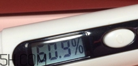 雅頓小銀蛋是什么？雅頓小銀蛋多少錢？