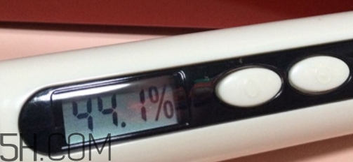 雅頓小銀蛋是什么？雅頓小銀蛋多少錢？