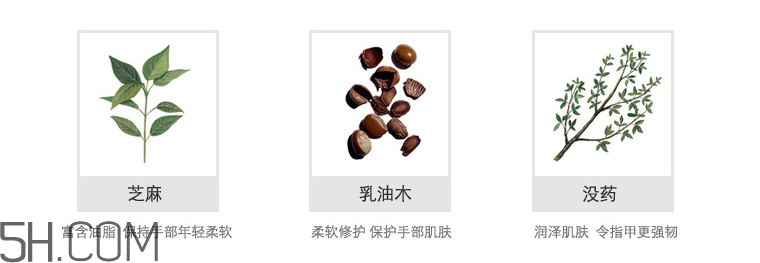 嬌韻詩手部修護霜 嬌韻詩手部修護霜