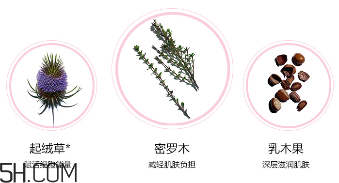 嬌韻詩(shī)青春賦活日間乳