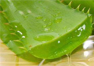 自然樂園蘆薈膠怎么用？自然樂園蘆薈膠使用方法