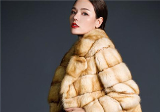 裘皮大衣是什么動物皮？裘皮大衣怎么保養(yǎng)？