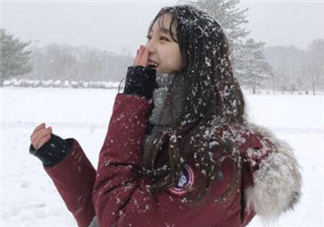 加拿大鵝羽絨服怎么樣？加拿大鵝羽絨服好嗎？