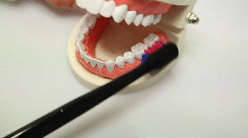 刷牙的錯(cuò)誤方法 這些刷牙誤區(qū)需謹(jǐn)記 刷牙的錯(cuò)誤方法 這些刷牙誤區(qū)需謹(jǐn)記