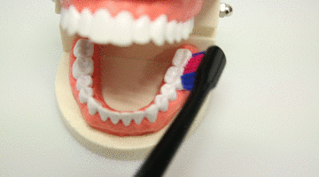 刷牙的錯(cuò)誤方法 這些刷牙誤區(qū)需謹(jǐn)記 刷牙的錯(cuò)誤方法 這些刷牙誤區(qū)需謹(jǐn)記