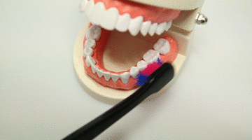 刷牙的錯(cuò)誤方法 這些刷牙誤區(qū)需謹(jǐn)記 刷牙的錯(cuò)誤方法 這些刷牙誤區(qū)需謹(jǐn)記