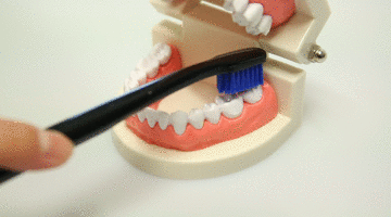 刷牙的錯(cuò)誤方法 這些刷牙誤區(qū)需謹(jǐn)記 刷牙的錯(cuò)誤方法 這些刷牙誤區(qū)需謹(jǐn)記