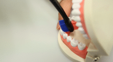 刷牙的錯(cuò)誤方法 這些刷牙誤區(qū)需謹(jǐn)記 刷牙的錯(cuò)誤方法 這些刷牙誤區(qū)需謹(jǐn)記