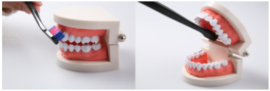 刷牙的錯(cuò)誤方法 這些刷牙誤區(qū)需謹(jǐn)記 刷牙的錯(cuò)誤方法 這些刷牙誤區(qū)需謹(jǐn)記