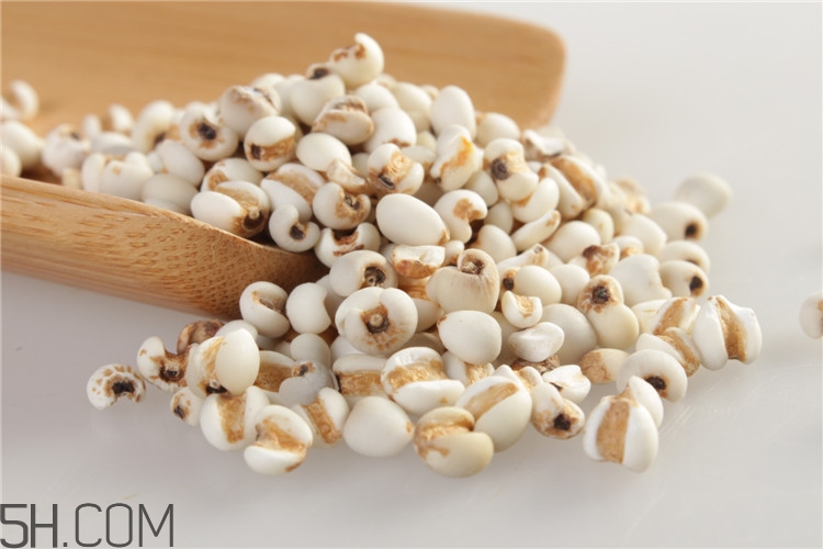 各種米的功效有哪些？米類食物的養(yǎng)生功效有哪些？