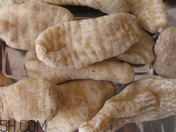 天麻能泡水喝嗎？吃天麻有什么作用？