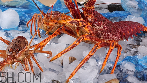 吃什么食物可以讓胸部變大？豐胸的食物有哪些？