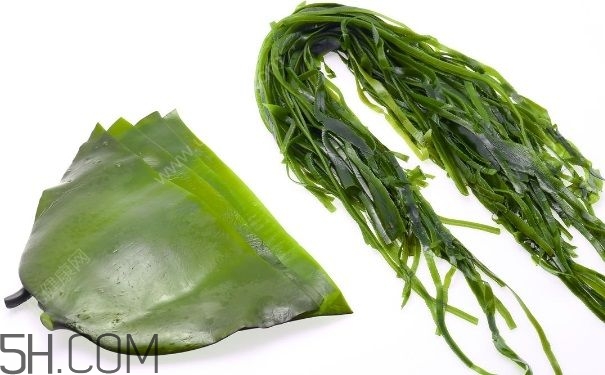海帶的做法有哪些？怎么挑選優(yōu)質(zhì)海帶？